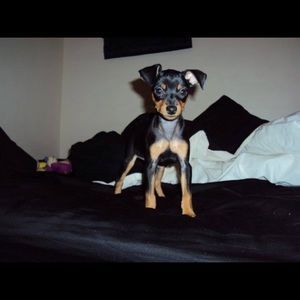 Meet your Posher, Danielle